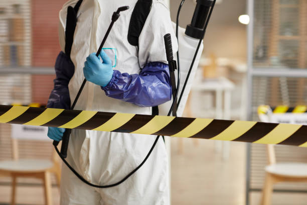 Professional Sewage Cleanup technician working in Amlin, OH
